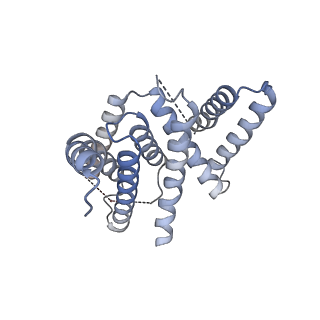 3239_5fn4_B_v1-1
Cryo-EM structure of gamma secretase in class 2 of the apo- state ensemble