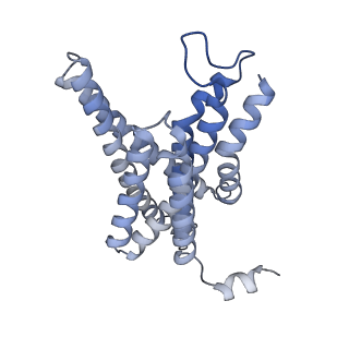 3239_5fn4_C_v1-1
Cryo-EM structure of gamma secretase in class 2 of the apo- state ensemble