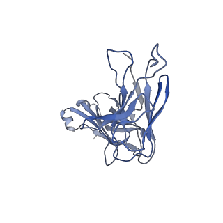 4281_6fn1_B_v1-4
Zosuquidar and UIC2 Fab complex of human-mouse chimeric ABCB1 (ABCB1HM)
