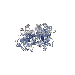 4282_6fn4_A_v1-5
Apo form of UIC2 Fab complex of human-mouse chimeric ABCB1 (ABCB1HM)