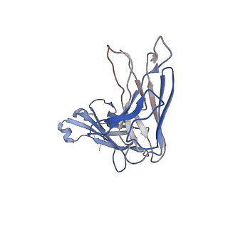 4282_6fn4_B_v1-5
Apo form of UIC2 Fab complex of human-mouse chimeric ABCB1 (ABCB1HM)