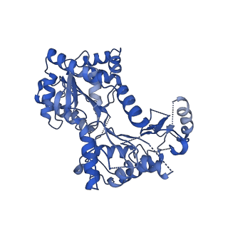 29338_8fo1_A_v1-0
Cryo-EM structure of Cryptococcus neoformans trehalose-6-phosphate synthase homotetramer in apo form