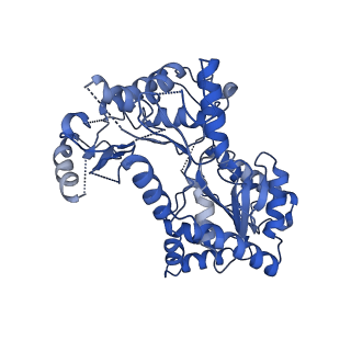 29338_8fo1_B_v1-0
Cryo-EM structure of Cryptococcus neoformans trehalose-6-phosphate synthase homotetramer in apo form