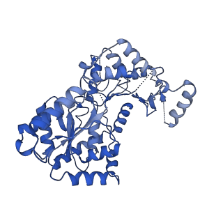 29338_8fo1_C_v1-0
Cryo-EM structure of Cryptococcus neoformans trehalose-6-phosphate synthase homotetramer in apo form