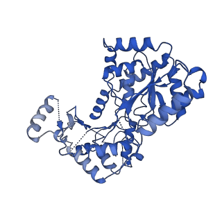 29338_8fo1_D_v1-0
Cryo-EM structure of Cryptococcus neoformans trehalose-6-phosphate synthase homotetramer in apo form
