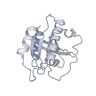29339_8fo2_B_v1-0
Cryo-EM structure of Rab29-LRRK2 complex in the LRRK2 monomer state