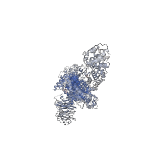 29339_8fo2_E_v1-0
Cryo-EM structure of Rab29-LRRK2 complex in the LRRK2 monomer state