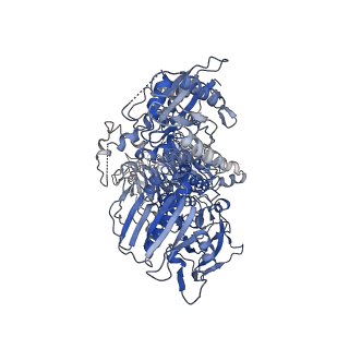 29340_8fo7_C_v1-1
Cryo-EM structure of LRRK2 bound to type I inhibitor LRRK2-IN-1