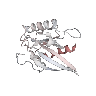 29341_8fo8_A_v1-0
Cryo-EM structure of Rab29-LRRK2 complex in the LRRK2 dimer state
