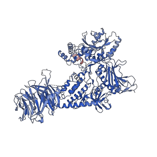 29342_8fo9_A_v1-0
Cryo-EM structure of Rab29-LRRK2 complex in the LRRK2 tetramer state