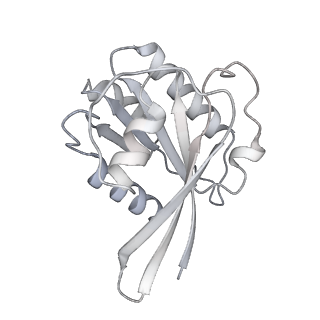 29342_8fo9_B_v1-0
Cryo-EM structure of Rab29-LRRK2 complex in the LRRK2 tetramer state