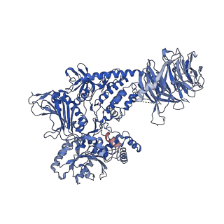 29342_8fo9_C_v1-0
Cryo-EM structure of Rab29-LRRK2 complex in the LRRK2 tetramer state