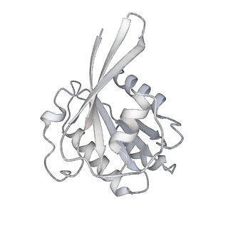 29342_8fo9_D_v1-0
Cryo-EM structure of Rab29-LRRK2 complex in the LRRK2 tetramer state