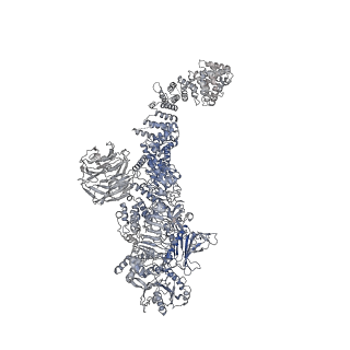 29342_8fo9_E_v1-0
Cryo-EM structure of Rab29-LRRK2 complex in the LRRK2 tetramer state