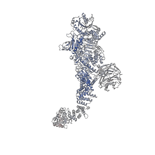 29342_8fo9_F_v1-0
Cryo-EM structure of Rab29-LRRK2 complex in the LRRK2 tetramer state