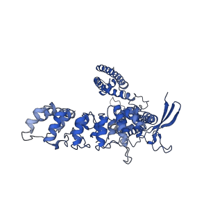 29343_8foa_A_v1-0
Cryo-EM structure of human TRPV6 in complex with the natural phytoestrogen genistein