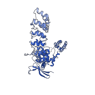 29343_8foa_D_v1-0
Cryo-EM structure of human TRPV6 in complex with the natural phytoestrogen genistein