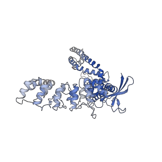 29344_8fob_A_v1-0
Cryo-EM structure of human TRPV6 in the open state