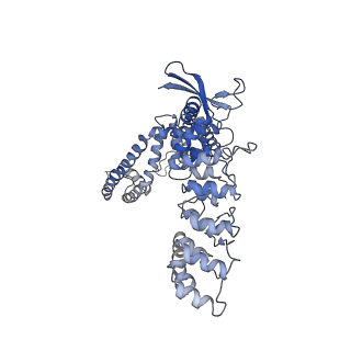29344_8fob_B_v1-0
Cryo-EM structure of human TRPV6 in the open state