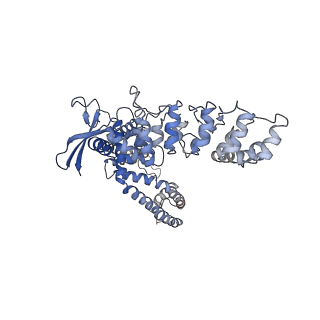 29344_8fob_C_v1-0
Cryo-EM structure of human TRPV6 in the open state