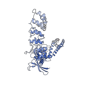 29344_8fob_D_v1-0
Cryo-EM structure of human TRPV6 in the open state