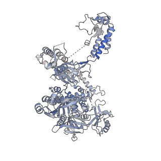 29345_8foc_1_v1-0
Cryo-EM structure of S. cerevisiae DNA polymerase alpha-primase in Apo state conformation I