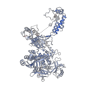 29345_8foc_1_v1-1
Cryo-EM structure of S. cerevisiae DNA polymerase alpha-primase in Apo state conformation I