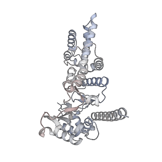 29345_8foc_A_v1-0
Cryo-EM structure of S. cerevisiae DNA polymerase alpha-primase in Apo state conformation I