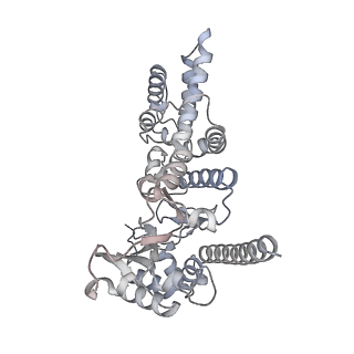 29345_8foc_A_v1-1
Cryo-EM structure of S. cerevisiae DNA polymerase alpha-primase in Apo state conformation I