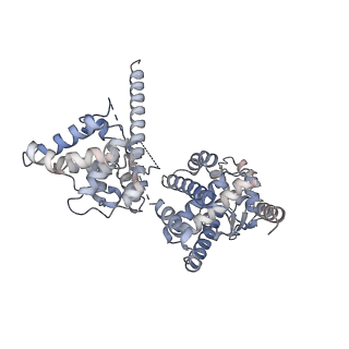 29345_8foc_B_v1-0
Cryo-EM structure of S. cerevisiae DNA polymerase alpha-primase in Apo state conformation I