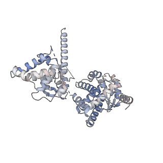 29345_8foc_B_v1-1
Cryo-EM structure of S. cerevisiae DNA polymerase alpha-primase in Apo state conformation I