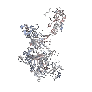 29346_8fod_1_v1-0
Cryo-EM structure of S. cerevisiae DNA polymerase alpha-primase complex in Apo state conformation II