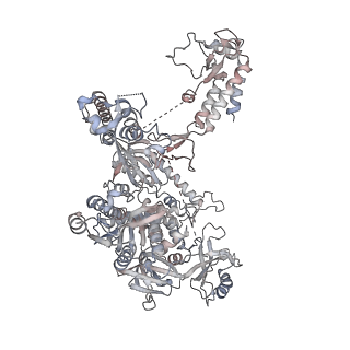 29346_8fod_1_v1-1
Cryo-EM structure of S. cerevisiae DNA polymerase alpha-primase complex in Apo state conformation II