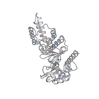 29346_8fod_A_v1-0
Cryo-EM structure of S. cerevisiae DNA polymerase alpha-primase complex in Apo state conformation II