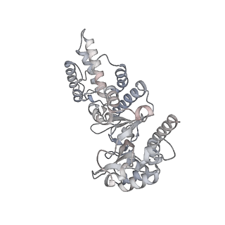 29346_8fod_A_v1-1
Cryo-EM structure of S. cerevisiae DNA polymerase alpha-primase complex in Apo state conformation II