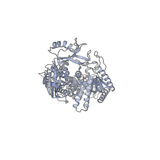 29349_8foh_1_v1-0
Cryo-EM structure of S. cerevisiae DNA polymerase alpha-primase complex in the RNA synthesis state