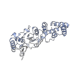 29349_8foh_A_v1-0
Cryo-EM structure of S. cerevisiae DNA polymerase alpha-primase complex in the RNA synthesis state