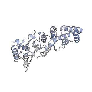 29349_8foh_A_v1-1
Cryo-EM structure of S. cerevisiae DNA polymerase alpha-primase complex in the RNA synthesis state