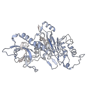 29349_8foh_C_v1-0
Cryo-EM structure of S. cerevisiae DNA polymerase alpha-primase complex in the RNA synthesis state