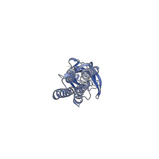 29350_8foi_D_v1-2
Native GABA-A receptor from the mouse brain, alpha1-beta2-gamma2 subtype, in complex with GABA and allopregnanolone