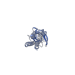29350_8foi_D_v2-0
Native GABA-A receptor from the mouse brain, alpha1-beta2-gamma2 subtype, in complex with GABA and allopregnanolone