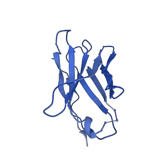 29350_8foi_H_v1-2
Native GABA-A receptor from the mouse brain, alpha1-beta2-gamma2 subtype, in complex with GABA and allopregnanolone