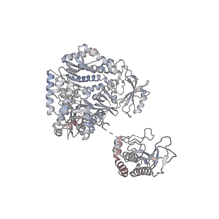 29351_8foj_1_v1-0
Cryo-EM structure of S. cerevisiae DNA polymerase alpha-primase complex in the post RNA handoff state