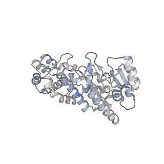 29351_8foj_A_v1-0
Cryo-EM structure of S. cerevisiae DNA polymerase alpha-primase complex in the post RNA handoff state