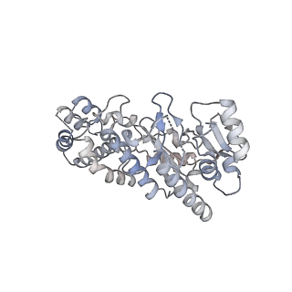 29351_8foj_A_v2-1
Cryo-EM structure of S. cerevisiae DNA polymerase alpha-primase complex in the post RNA handoff state