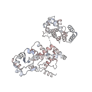 29351_8foj_B_v1-0
Cryo-EM structure of S. cerevisiae DNA polymerase alpha-primase complex in the post RNA handoff state