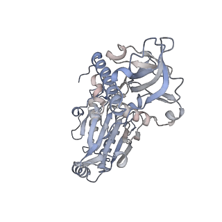 29351_8foj_C_v1-0
Cryo-EM structure of S. cerevisiae DNA polymerase alpha-primase complex in the post RNA handoff state