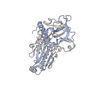 29351_8foj_C_v2-1
Cryo-EM structure of S. cerevisiae DNA polymerase alpha-primase complex in the post RNA handoff state