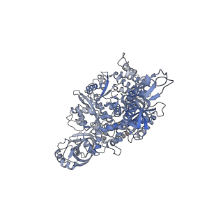 29352_8fok_1_v1-0
Cryo-EM structure of S. cerevisiae DNA polymerase alpha-primase complex in the DNA elongation state