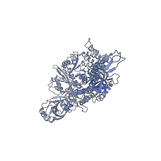 29352_8fok_1_v1-1
Cryo-EM structure of S. cerevisiae DNA polymerase alpha-primase complex in the DNA elongation state